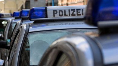 Plüschtiere als Diebesgut: Was steckt hinter der Tat?