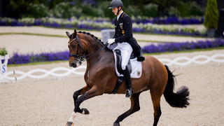 Klimke fällt für Olympia aus: Bad Homburger Rothenberger rückt nach