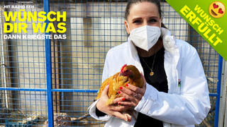 Wünsch dir was: Unterstützung für Tier-Gnadenhof