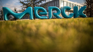 Merck erleidet Flop mit Pharma-Hoffnungsträger - Aktie bricht ein