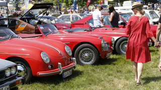 Absage "Klassikertreffen": Keine Oldtimer auf Mainwiesen Rüsselsheim