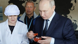 Putin besucht erstmals umstrittene Kurilen im Pazifik– Japan protestiert