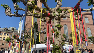 Rund 160 Programmpunkte beim Paulskirchenfest in Frankfurt