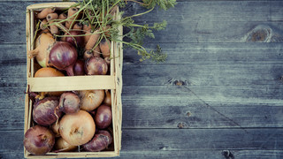 Kreuz & Quer am 17. März - Lieber teilen statt wegwerfen!