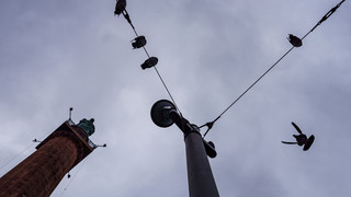 Obdachloser auf Luisenplatz in Darmstadt getötet: Mordanklage erhoben