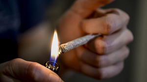 Bundestag beschließt umstrittene Cannabis-Freigabe
