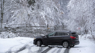 Schneechaos im Rheingau-Taunus-Kreis - Dutzende Bäume auf Straßen