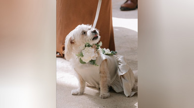 Das posten die Stars bei Instagram & Co