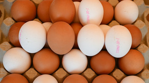 Eierpreise steigen durch Vogelgrippe und Nachfrage