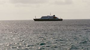 Hantavirus-Ausbruch auf Schiff: Ein deutscher Passagier tot