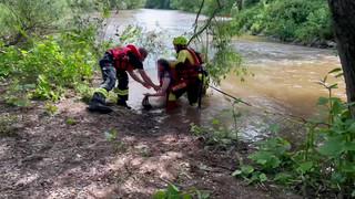 Auch Kinder dabei! Feuerwehr rettet Kanufahrer aus der Lahn