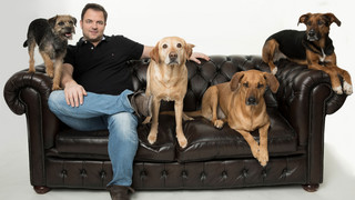 Martin Rütter: Die 11 Tipps sollten Hundehalter kennen