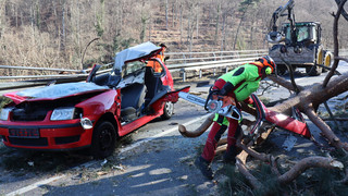 Heidelberg: 20 Meter hoher Baum stürzt auf Auto – Zwei Männer verletzt