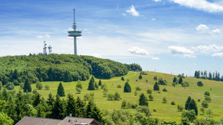 Tipps für den Vogelsberg-Ausflug: Vulkane, Natur und Abenteuer