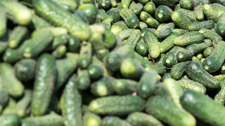 Gammelgemüse-Skandal: Patient starb nicht wegen der Gurken