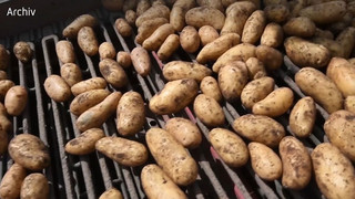 Top-Kartoffelernte - aber die Verbraucher profitieren kaum
