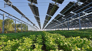 Solarstrom erreicht EU-Rekord: Deutschland, Spanien und Polen vorn