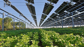 Solarstrom erreicht EU-Rekord: Deutschland, Spanien und Polen vorn