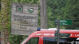 «Ein bisschen optimistisch»: Feuer im Müritz-Nationalpark eingekesselt