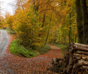 Hessen auf letztem Platz bei Sonnenschein
