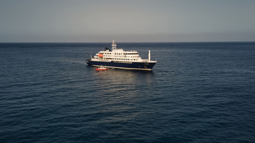 Drei Tote nach Hantavirus-Ausbruch auf Kreuzfahrtschiff