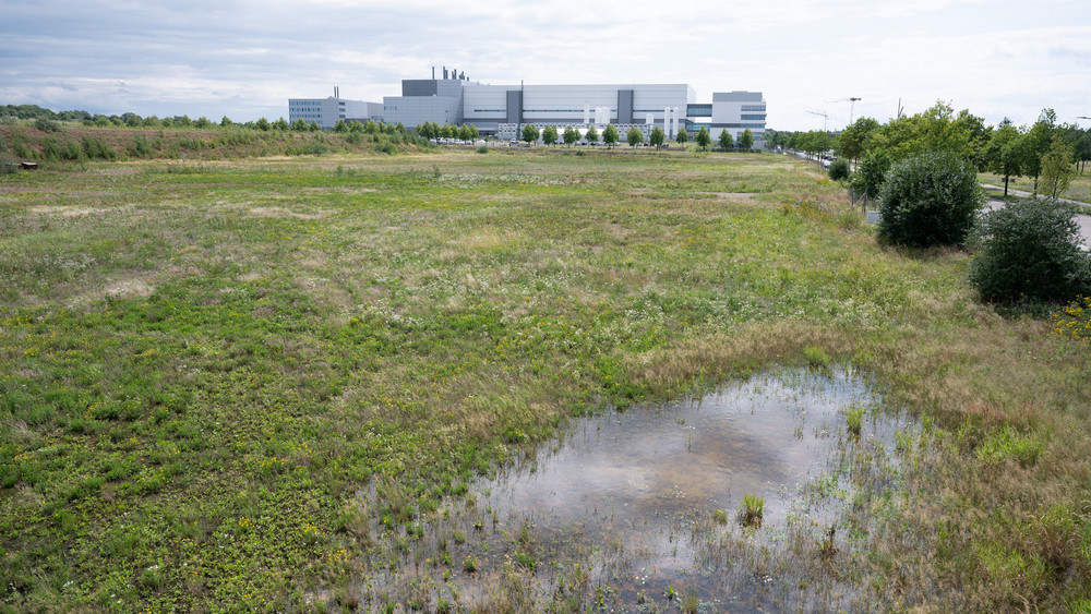Ein Wiese in einem Industriepark im Dresdner Stadtteil Klotzsche. Im Hintergrund ist die Halbleiterfabrik von Bosch zu sehen. Auch der taiwanische Chiphersteller TSMC will ein Halbleiterwerk im Industriepark in Dresden errichten.