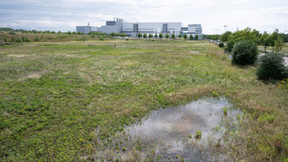 Für Chip-Fabrik in Dresden: Ökonomen bei TSMC-Subventionen skeptisch