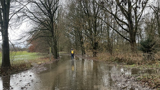 Fleißiger Biber setzt Radweg in Gießen unter Wasser