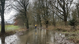 Fleißiger Biber setzt Radweg in Gießen unter Wasser