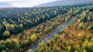 Im Reinhardswald werden Windräder gebaut