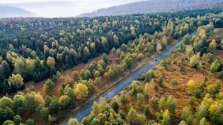 Reinhardswald: Naturparkführer legen Ämter nieder