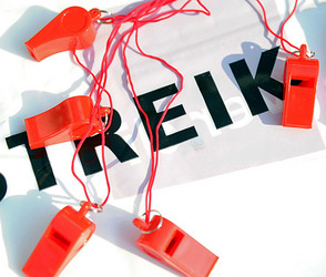 Schulstreik in Darmstadt: Darum protestieren die Schüler