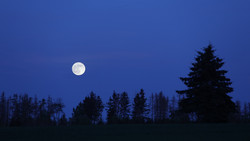 Weinheim: Jugendliche mitten in der Nacht aus Wald gerettet