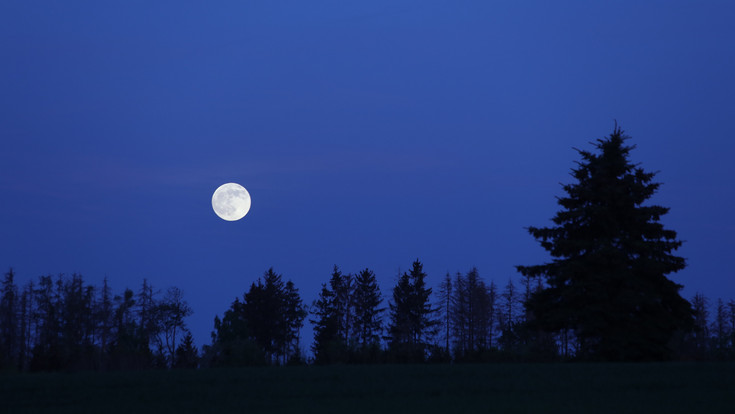 Weinheim: Jugendliche mitten in der Nacht aus Wald gerettet