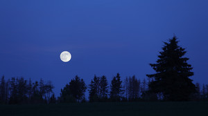 Weinheim: Junge Leute mitten in der Nacht aus Wald gerettet