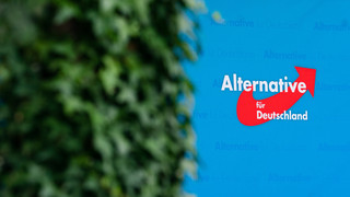 Die Wirtschaft ist über das AfD-Hoch besorgt
