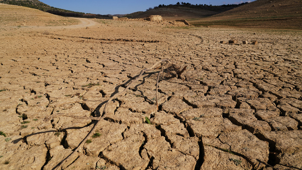 Laut Deutschem Wetterdienst ist das laufende Jahr das bisher wärmste in Deutschland, seit es Wetteraufzeichnungen gibt.