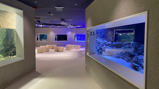 Aquarien im Luisenpark: Unterwasserwelt bei BUGA in Mannheim öffnet