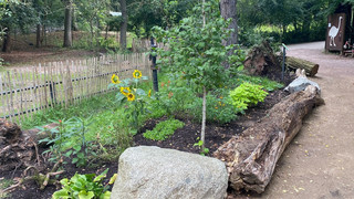 Darmstadt: Neuer Besucherweg im Vivarium