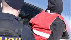 Einsatz gegen Schleuser: Polizei übt im Dreiländereck 