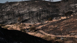 Feuerwehr kämpft gegen Großbrand: Tausende Hektar in Zentralspanien in Flammen