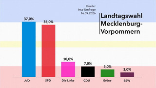 Umfrage: AfD in MV nur noch minimal vor SPD