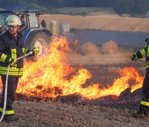 Waldbrand im Vogelsbergkreis: Ursachen und Tipps zum Schutz