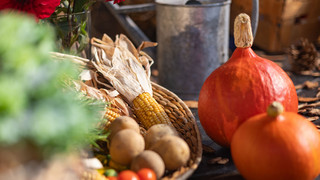 Kreuz & Quer am 06.10.2024