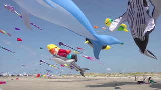 Bunter Himmel - St. Peter-Ording lockt mit Drachenfest