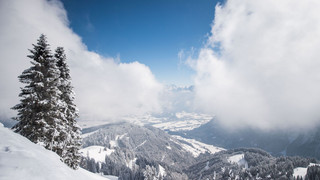 Hund in Bayern nach Absturz im Schnee gerettet