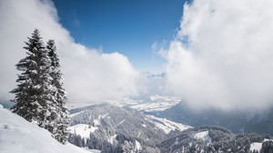 Hund in Bayern nach Absturz im Schnee gerettet