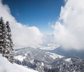 Hund in Bayern nach Absturz im Schnee gerettet