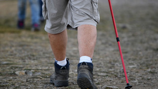 Outdoor-Apps sorgen für Probleme in der Rhön, Forschungsprojekt