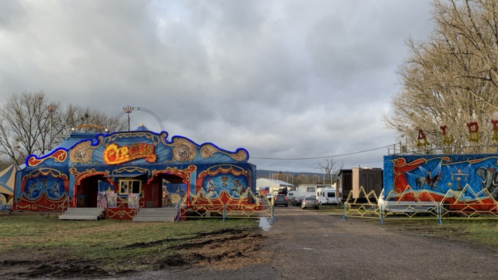 Die Stadt hat die Löwen-Show beim Wiesbadener Weihnachtscircus verboten.